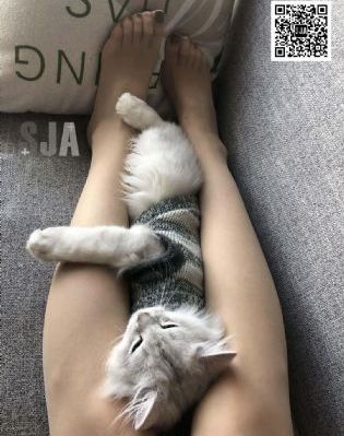 善良的保姆免费观看_在线播放-手机电影免费播放